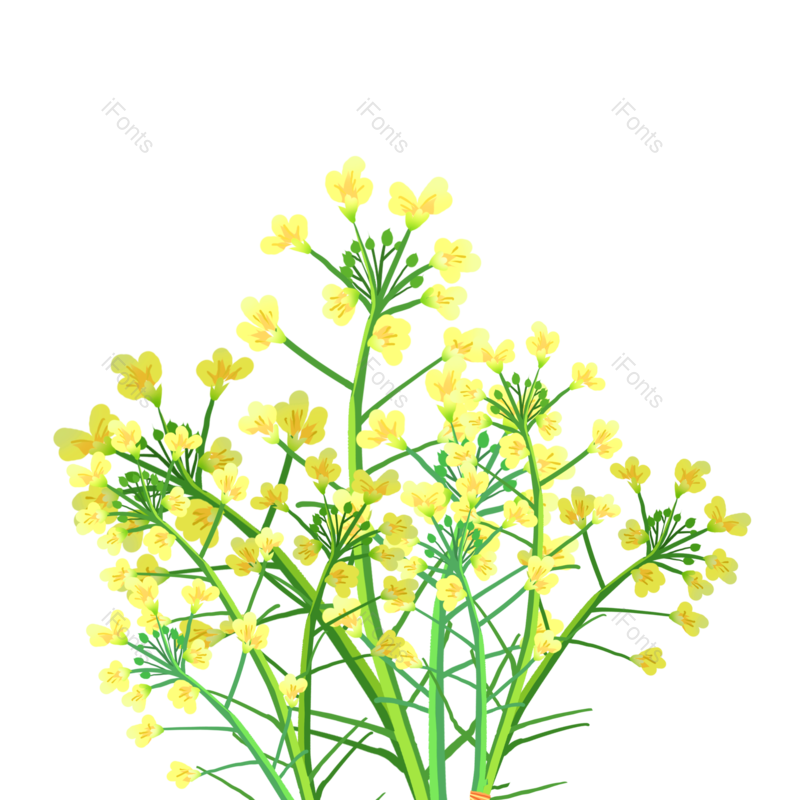 黄色花朵图片,黄花元素,鲜花PNG,花朵素材免抠素材